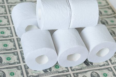 toilet paper rolls dollars on a light background, toilet paper and dollars, concept of cheap moneyの写真素材