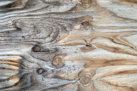 an old knotty wood board panel
