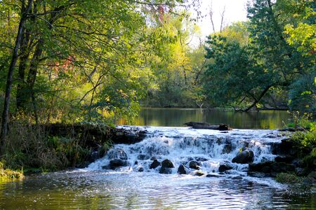 a close-up creek river waterfall deep in the forestの写真素材
