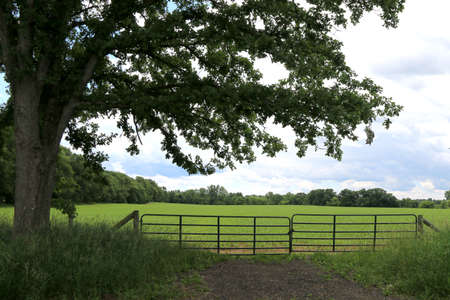 farmland tree shade with a  fence on a bright sunny dayの写真素材