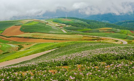 Colourful fields in Hongtudi, Yunnan Province, China