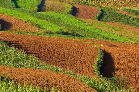 terraced fields in yunnan, china (3)の写真素材