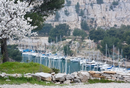 yacht boats in cassis