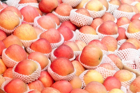 heap of red and yellow applesの写真素材