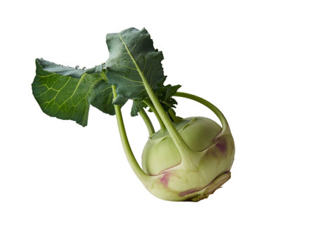 Crisp, vibrant green kohlrabi, isolated on a white background. This high-resolution transparent PNG image showcases the vegetable's fresh texture and detail, perfect for culinary websites, food blogs, health publications, and various design projects thanks to its transparency.の写真素材