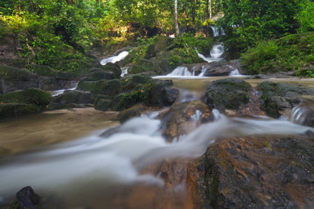 Creek in a forest