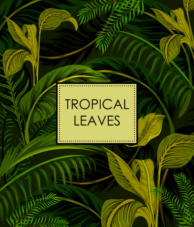 Exotic tropical leaf background in vector for invitation greeting templateのイラスト素材