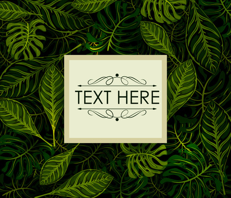 Exotic tropical leaf background in vector for invitation greeting templateのイラスト素材
