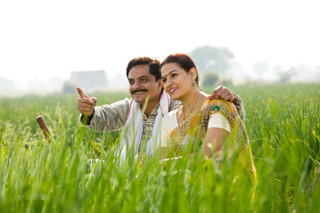 Happy Indian couple farmers examining crop in agricultural fieldの写真素材