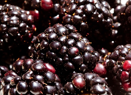 Background of juicy blackberries