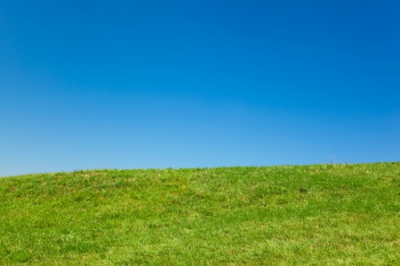 Green field and blue skyの写真素材