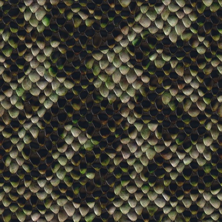 Seamless texture of snake skinの写真素材