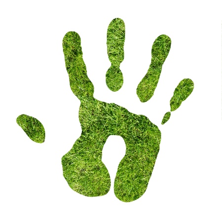 Green handprint made from grassの写真素材