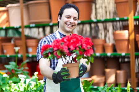 Portrait of a smiling greenhouse worker holding a flower potの写真素材