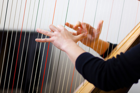 Female hands playing harpの写真素材