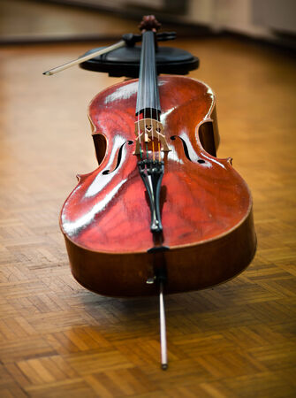 Violinの写真素材