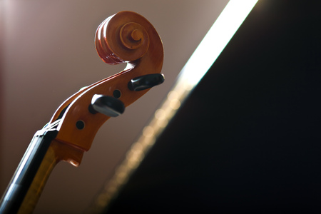 Violoncello detailの写真素材