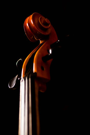 Violoncello detailの写真素材