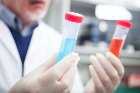 Senior scientist at work in a laboratory