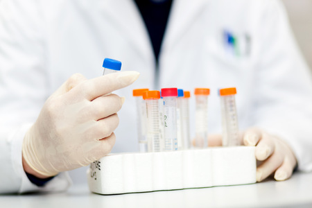 Researcher at work in a laboratoryの写真素材
