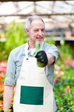 Green house employee thumbs upの写真素材