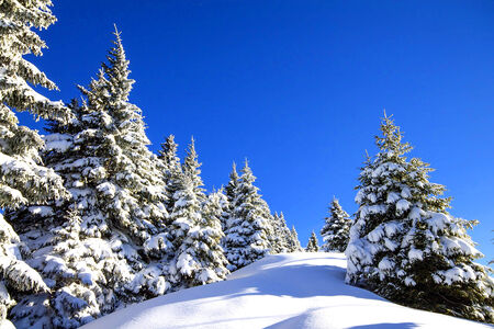 let it snowの写真素材