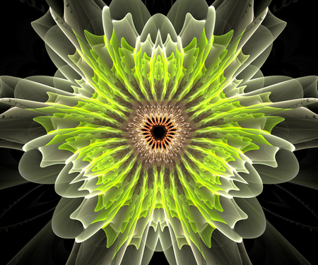 Computer generated fractal artwork for creative art,design and entertainmentの写真素材