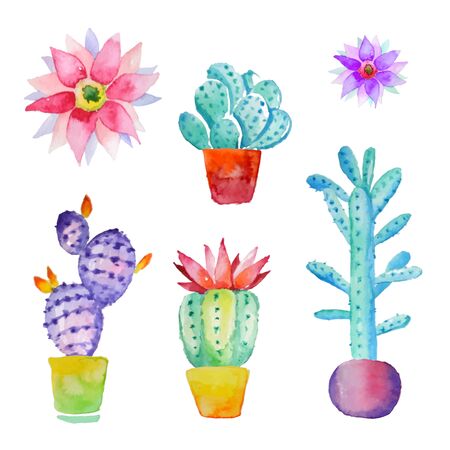 Cactus isolated on white background. Vector, watercolor hand drawn set illustrationのイラスト素材