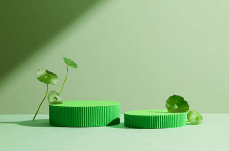Empty podium for product display. Monochrome Pedestal with ribbed. Glass Abstract background with in pastel green color for product cosmetics presentation.の写真素材