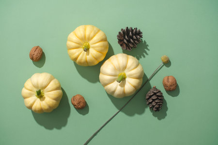 Top view of mini pumpkins decorated with dry pine cones and walnuts on a green background. Unique decoration ideas, warm autumn and happy Thanksgivingの写真素材