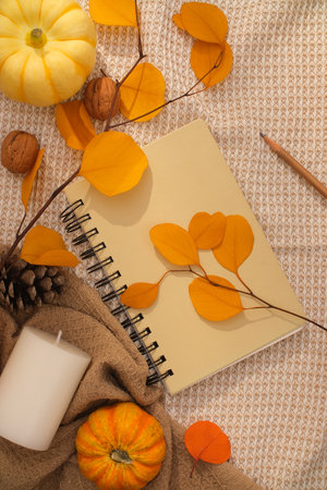 Autumn background with dry leaves, pumpkins and decorative notebooks on vintage fabric. Top view,...