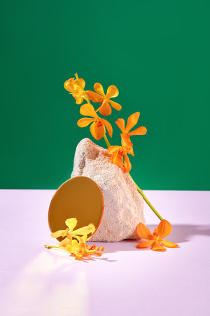 A fresh flower branch is leaning against a stone slab. Two-color background: dark green and pastel purple. Free space for product advertising. Front view.の写真素材