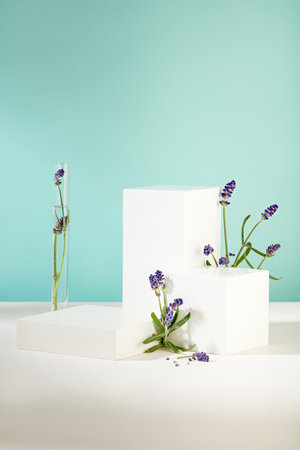 Adorned with lavender, white podiums on white table with blue background. Empty platforms for showcasing products, embodying natural beauty. Front view elegance.の写真素材