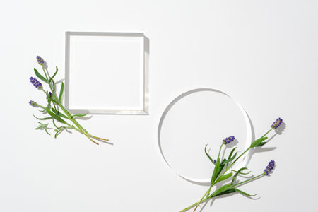 Two glass podiums decorated with fresh lavender flowers on a white background. Lavender essential oil has a sweet, sharp floral scent with strong properties.の写真素材
