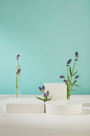 The white podiums are decorated with lavender flowers. White table with blue background. Display products with empty platforms. Natural beauty. Front view.の写真素材