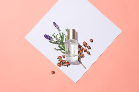 A transparent perfume bottle is placed next to lavender flowers and dried rose buds on a pink and white background. Fragrance from natural flower essential oils.の写真素材