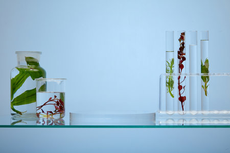 On the glass pedestal, the experimental equipment is holding bright red and green seaweed leaves and clear liquid on blue background. Blank space on transparent podium for display your product.の写真素材