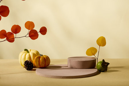 Empty podiums decorated with a pine cone, green persimmon and pumpkins. Vacant space to display your product with autumn conceptの写真素材