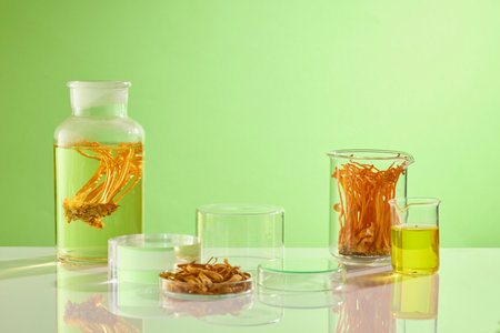 Scene for displaying products with ingredients from cordyceps. Various forms of cordyceps placed in...