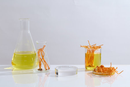 Against the white background, erlenmeyer flask and beaker filled with yellow liquid and cordyceps militaris decorated with a transparent podium for display productの写真素材