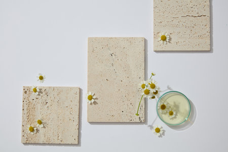 Stone podiums in square and rectangle shape are arranged on white background with Chamomilla flowers. Chamomilla (Matricaria chamomilla) has many benefits for skinの写真素材