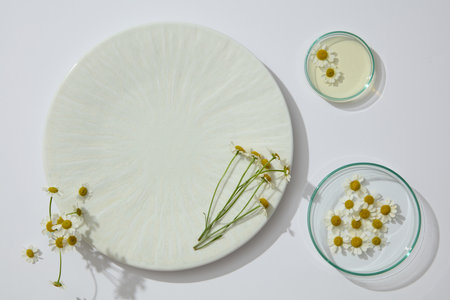Round-shaped dish arranged with few petri dishes containing liquid and Chamomilla flowers. Blank space on the dish for products or goods presentationの写真素材