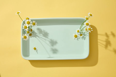 A dish in pastel color containing Chamomilla flowers isolated on yellow background. Blank space can be used to promote beauty product of Chamomilla (Matricaria chamomilla) extractの写真素材