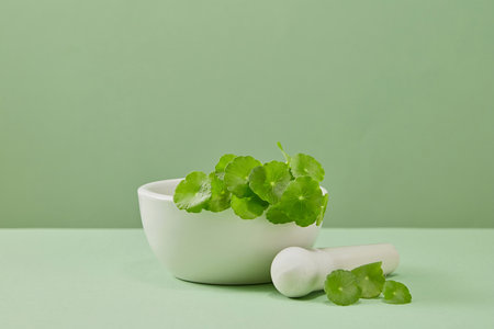 Minimal scene of a mortar filled with fresh Gotu kola leaves and a pestle displayed on pastel...
