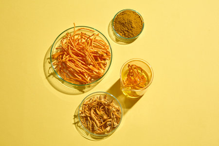 Over light background, several round petri dishes and a beaker containing Cordyceps Militaris and Cordyceps powder. Cordyceps benefit heart health in humansの写真素材