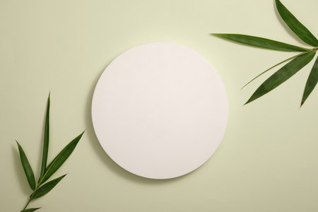 Blank minimalistic empty showcase template. A round white podium placed on light green background with bamboo leaves. Scene for display your product with minimal concept. Top viewの写真素材
