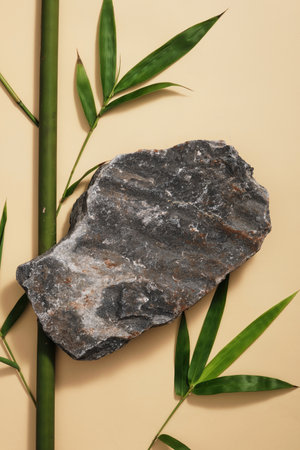 Abstract minimal nature scene with gray stone podium on brown background with bamboo stems and leaves. Space for design and place mockup. Scene for advertising and branding cosmetic productの写真素材