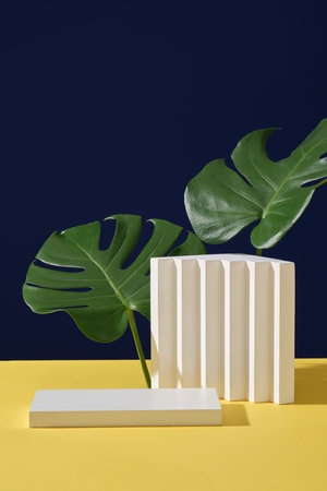 Minimal style, advertising photo with white podium, stairway and fresh jungle monstera leaves decorated on dark blue background. Blank space for display cosmetics products.の写真素材