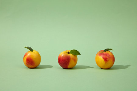 Front view of three colorful peaches (prunus persica) still green petioles arranged on a light green background. Peaches are very nutritious and can provide many health benefitsの写真素材