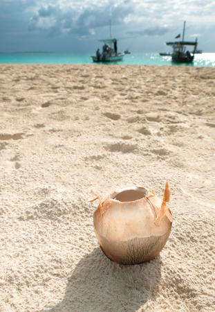 Opened coconut on white sand on the beach Zanzibar Tanzaniaの写真素材